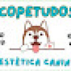 copetudos