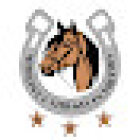 Medico Veterinario
