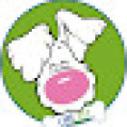 Care Vet