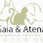 Veterinaria Gaia y Atena