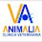 Animalia
