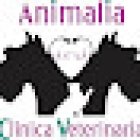 Animalia Clínica Veterinaria