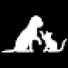 Woof Miaow