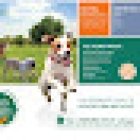 The Canine Garden