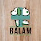 Hospital veterinario Balam