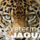 Veterinaria Jaguar