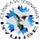 Clinica Veterinaria Ryuusei