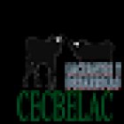 VETERINARIA EL LLANO