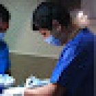 Clínica Veterinaria y Estética Canina Dr Ricardo Macias