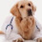 VETERINARIA ABC