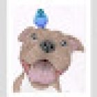 El Cachorro